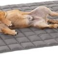 Outdoor Dog Blanket
