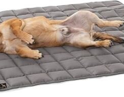 Outdoor Dog Blanket