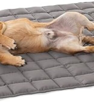 Outdoor Dog Blanket