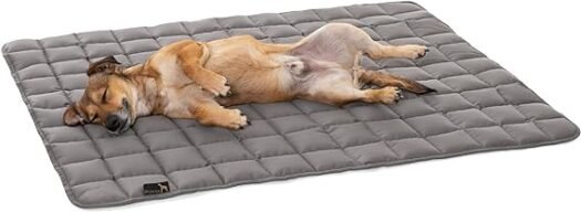 Outdoor Dog Blanket