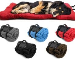 Outdoor Dog Blanket