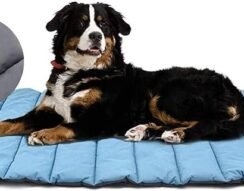 Outdoor Dog Blanket