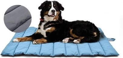 Outdoor Dog Blanket