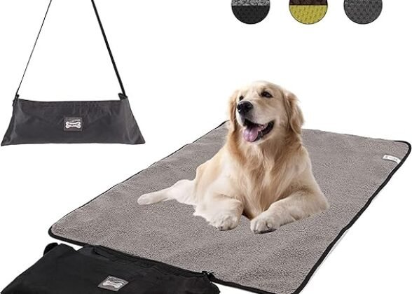 Outdoor Dog Blanket