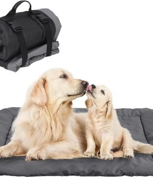 Outdoor Dog Blanket