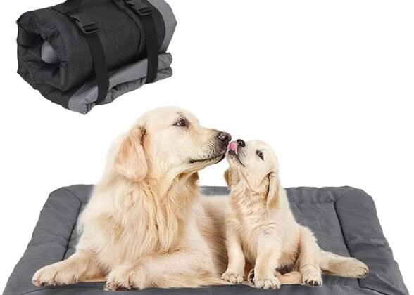 Outdoor Dog Blanket