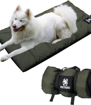 Outdoor Dog Blanket