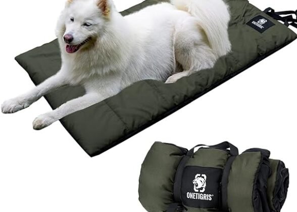 Outdoor Dog Blanket