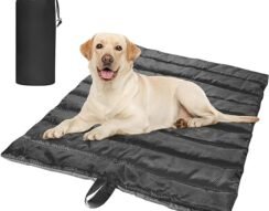 Outdoor Dog Blanket