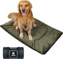 Outdoor Dog Blanket