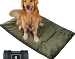 Outdoor Dog Blanket