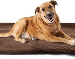 Outdoor Dog Blanket