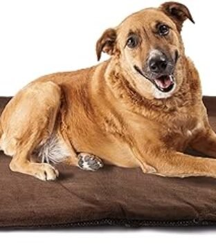 Outdoor Dog Blanket